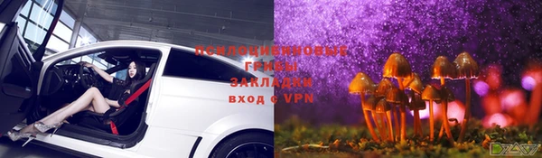 соль ск Гусев