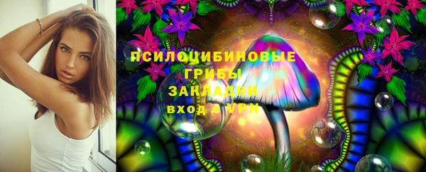 стафф Армянск